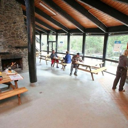 Discovery Parks - Cradle Mountain Accommodation Exterior foto